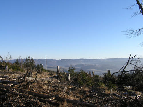 Kurz vor Erreichen des Ohlenberges ein toller Blick in Richtung Osten. In der Bildmitte zeigt sich der höchste Berg von NRW, der Langenberg mit seinen 843 m. 